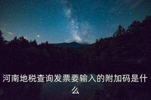 河南地稅查詢發(fā)票要輸入的附加碼是什么