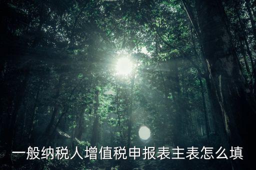 一般納稅人主表是什么，一般納稅人增值稅申報(bào)表主表怎么填