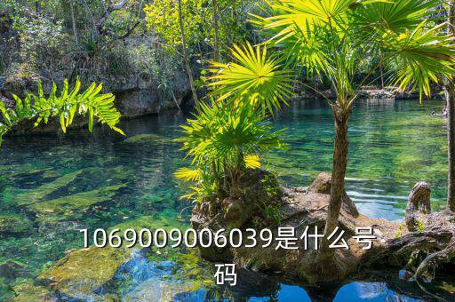 10699999是什么號(hào)碼，1069009006039是什么號(hào)碼