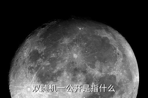 雙隨機一公開是指什么