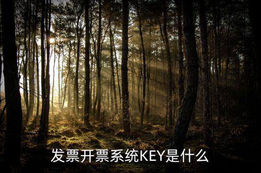 發(fā)票開(kāi)票系統(tǒng)KEY是什么