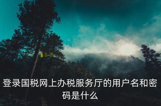 稅務(wù)查詢賬號密碼是什么意思，登錄國稅網(wǎng)上辦稅服務(wù)廳的用戶名和密碼是什么