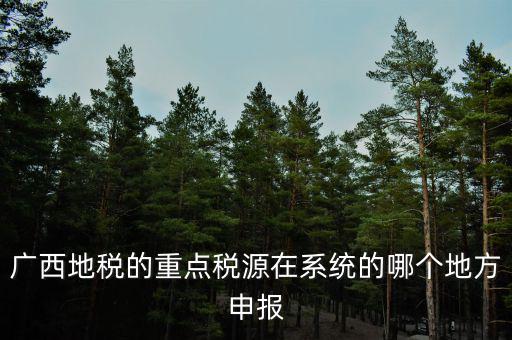 廣西地稅網(wǎng)是什么，進(jìn)入廣西地稅網(wǎng)后為什么網(wǎng)上辦稅大廳會(huì)進(jìn)不去