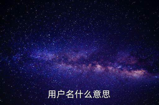 微稅用戶名是什么意思啊，用戶名什么意思