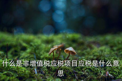 什么是非增值稅應(yīng)稅項目應(yīng)稅是什么意思