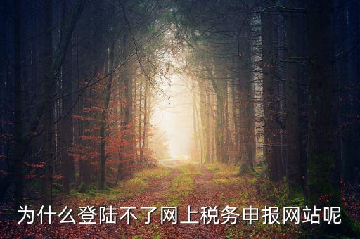 為什么登陸不了網(wǎng)上稅務(wù)申報網(wǎng)站呢