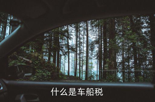 什么是車(chē)船稅