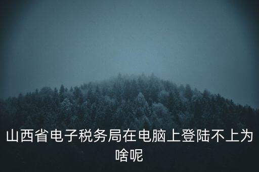 山西省電子稅務(wù)局在電腦上登陸不上為啥呢