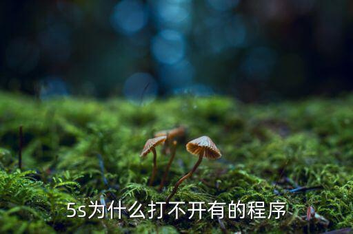 5s為什么打不開有的程序