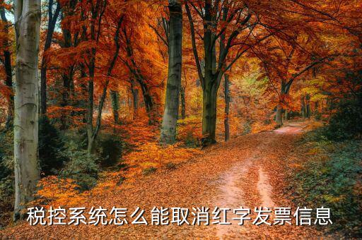 撤銷紅字信息表需要什么，我是購貨方開具紅字信息表錯誤去稅務局撤銷信息表查看描寫