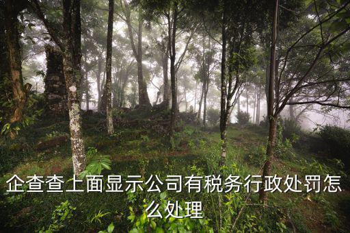 稅務(wù)行政處罰公示后什么時候消除，稅務(wù)處理決定書何時生效