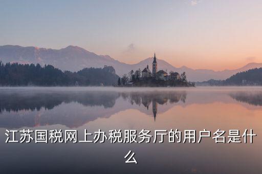 網(wǎng)上辦稅平臺帳號是什么，地稅網(wǎng)上申報(bào)用什么帳號