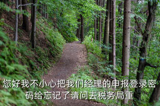 您好我不小心把我們經(jīng)理的申報登錄密碼給忘記了請問去稅務局重