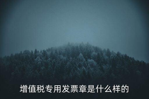 增值稅專用發(fā)票章是什么樣的