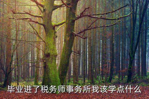 納稅人學堂講什么，稅務(wù)實務(wù)課講什么