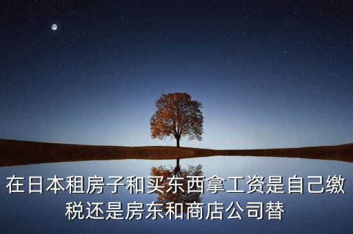 日本租稅法是什么稅，在日本租房子和買東西拿工資是自己繳稅還是房東和商店公司替