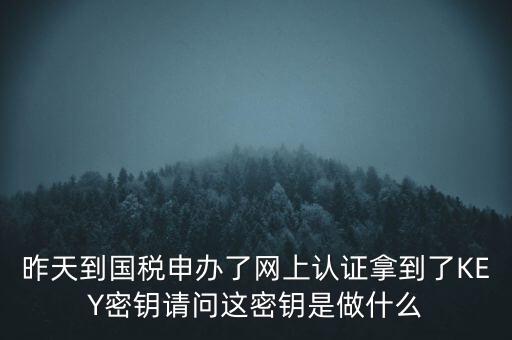 稅務(wù)認(rèn)證密碼是什么，昨天到國稅申辦了網(wǎng)上認(rèn)證拿到了KEY密鑰請問這密鑰是做什么