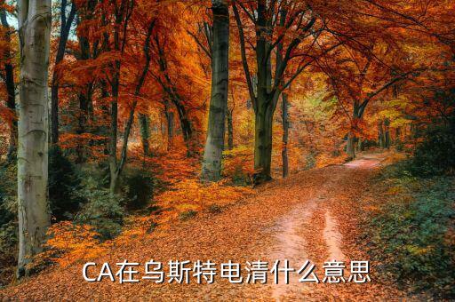 ca控件什么意思，CA在烏斯特電清什么意思