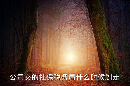 公司交的社保稅務局什么時候劃走