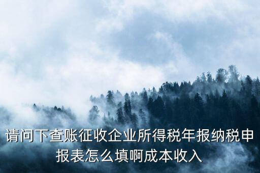 請問下查賬征收企業(yè)所得稅年報(bào)納稅申報(bào)表怎么填啊成本收入