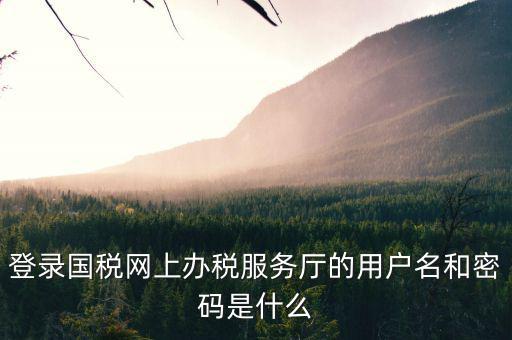 登錄國稅網(wǎng)上辦稅服務廳的用戶名和密碼是什么