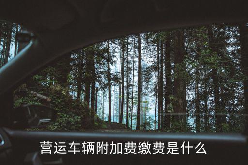 營運車輛附加費繳費是什么