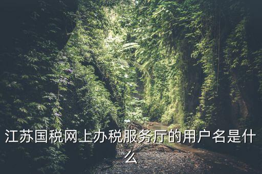 江蘇國(guó)稅網(wǎng)上辦稅服務(wù)廳的用戶(hù)名是什么