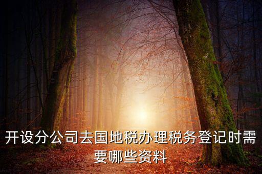 分公司地稅辦理需要什么材料，辦理分公司的稅務(wù)登記證需要準(zhǔn)備哪些資料