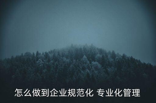 專業(yè)化公司如何管理，專業(yè)化企業(yè)的建議