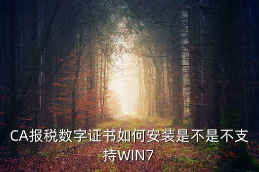 CA報稅數字證書如何安裝是不是不支持WIN7