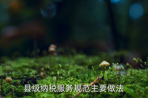 如何納稅的便民措施，如何提高納稅人滿意度 中國稅務(wù)報