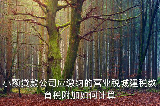 小額貸款公司如何繳稅，小額貸款公司的營(yíng)業(yè)稅怎么算 sitewenwensosocom