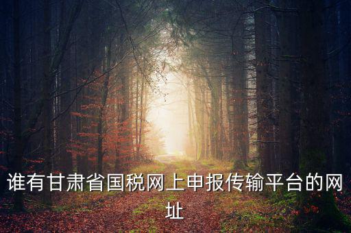 誰有甘肅省國稅網(wǎng)上申報傳輸平臺的網(wǎng)址