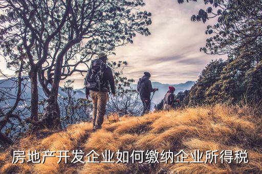 房地產(chǎn)企業(yè)如何申報(bào)稅，房產(chǎn)稅怎么申報(bào)