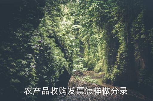 農(nóng)產(chǎn)品收購(gòu)發(fā)票怎樣做分錄