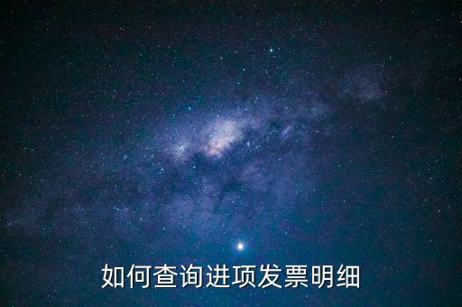 如何查詢進項發(fā)票明細