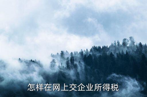 怎樣在網(wǎng)上交企業(yè)所得稅