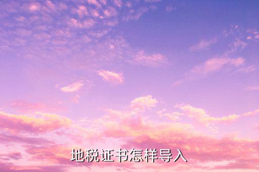 地稅證書怎樣導(dǎo)入