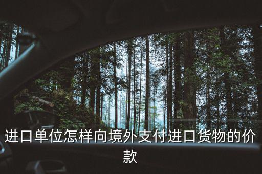 企業(yè)如何境外付款嗎，進(jìn)口單位怎樣向境外支付進(jìn)口貨物的價(jià)款