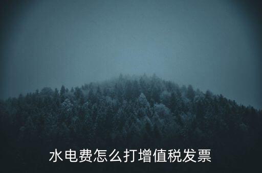 水電費怎么打增值稅發(fā)票