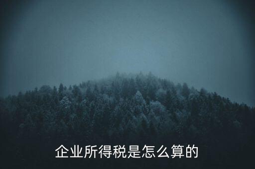 公司所得稅如何計算，企業(yè)所得稅該怎么計算