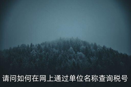 請問如何在網(wǎng)上通過單位名稱查詢稅號