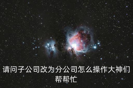 請(qǐng)問(wèn)子公司改為分公司怎么操作大神們幫幫忙