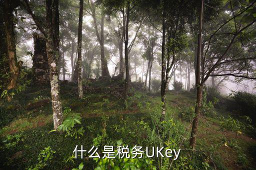 稅務(wù)局ukey是什么，什么是稅務(wù)UKey