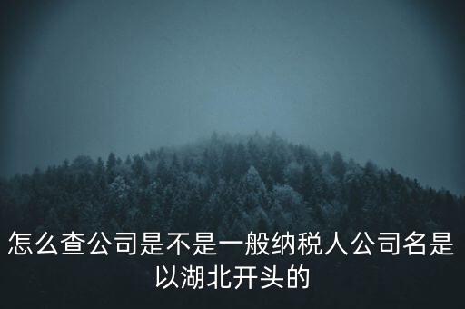 如何查詢企業(yè)是否是一般納稅人，怎么查公司是不是一般納稅人公司名是以湖北開頭的