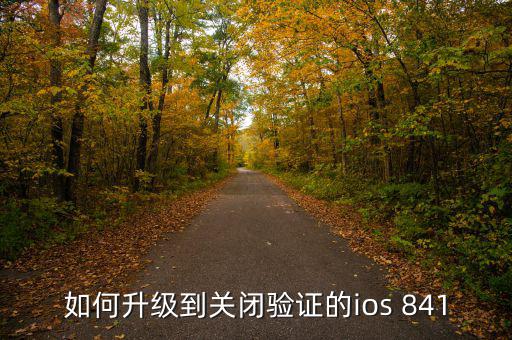 如何升級到關閉驗證的ios 841