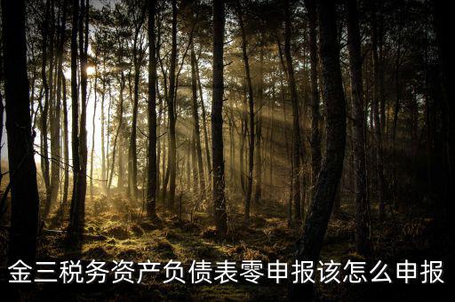 金稅三期如何零申報，金三稅務(wù)系統(tǒng)零申報需要報什么