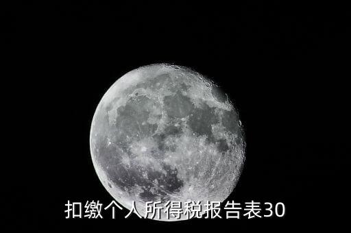 扣繳個人所得稅報告表30