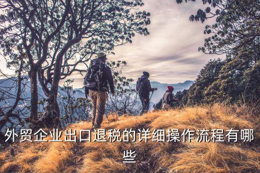 外貿(mào)公司如何申請退稅，外貿(mào)企業(yè)出口退稅流程希望能具體一點多謝多謝