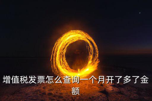 增值稅發(fā)票怎么查詢一個月開了多了金額